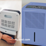 Dehumidifier for Mold Allergies