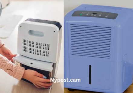 Dehumidifier for Mold Allergies