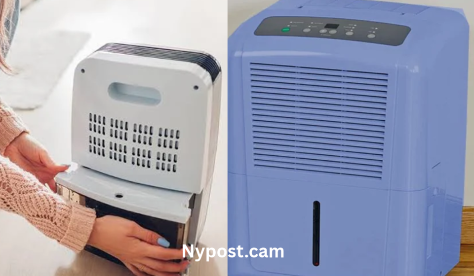 Dehumidifier for Mold Allergies