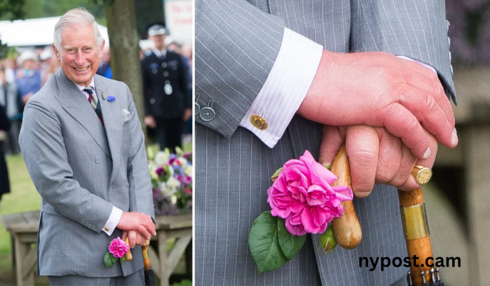 King Charles Hands